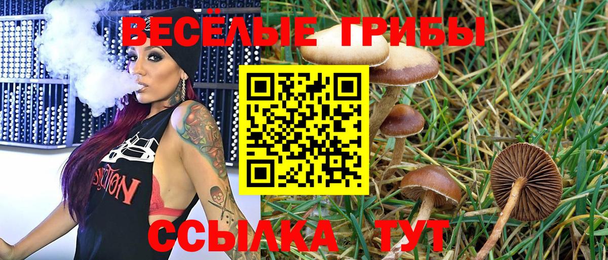 Псилоцибиновые грибы Magic Shrooms Лесной